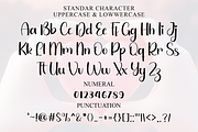 Ballerina, a Handwritten Font by InermediaSTUDIO (Thumbnail 6 of 8)