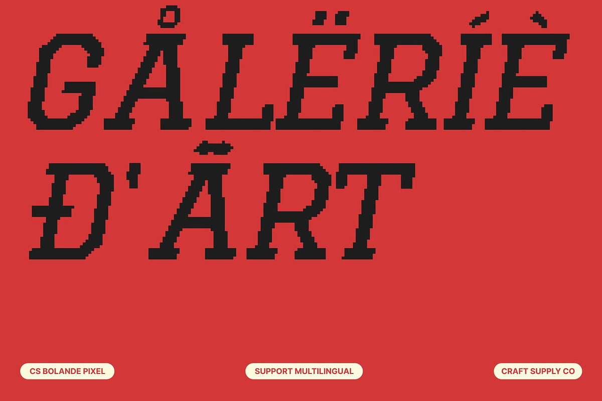 CS Bolande Pixel, a Slab Serif Font by Craft Supply Co. (Photo 5 of 8)