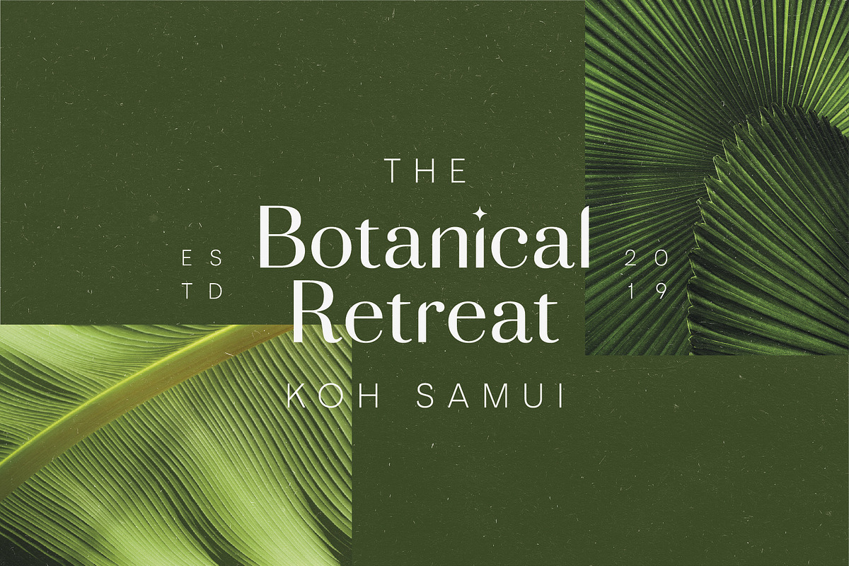 Adagio Decorative Ligature Font Duo preview 7