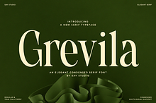 Grevila - Condensed Serif Font