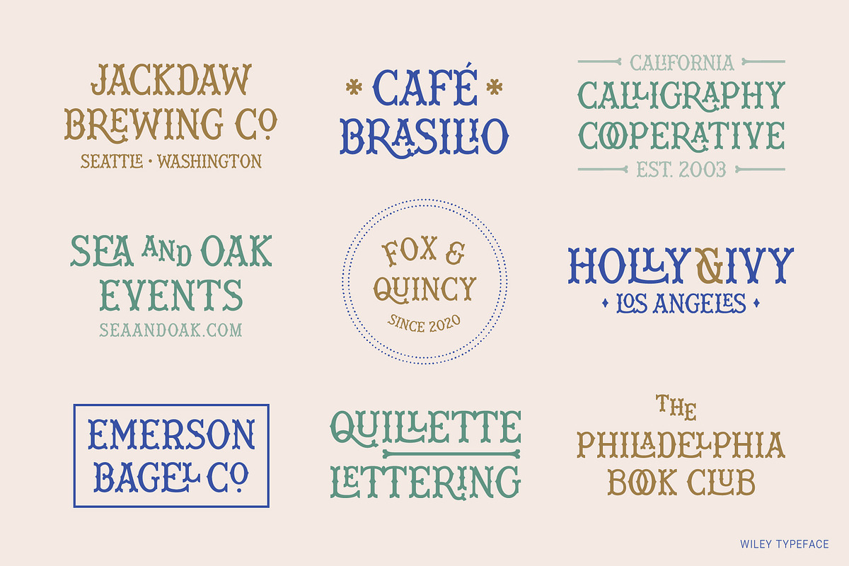 Wiley Decorative Latin & Greek Font, a Slab Serif Font by Molly Suber Thorpe (Photo 7 of 16)