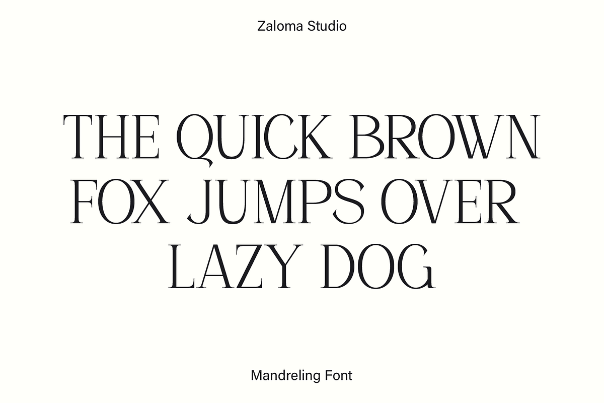Mandreling, a Serif Font by Zaloma Studio (Photo 11 of 15)