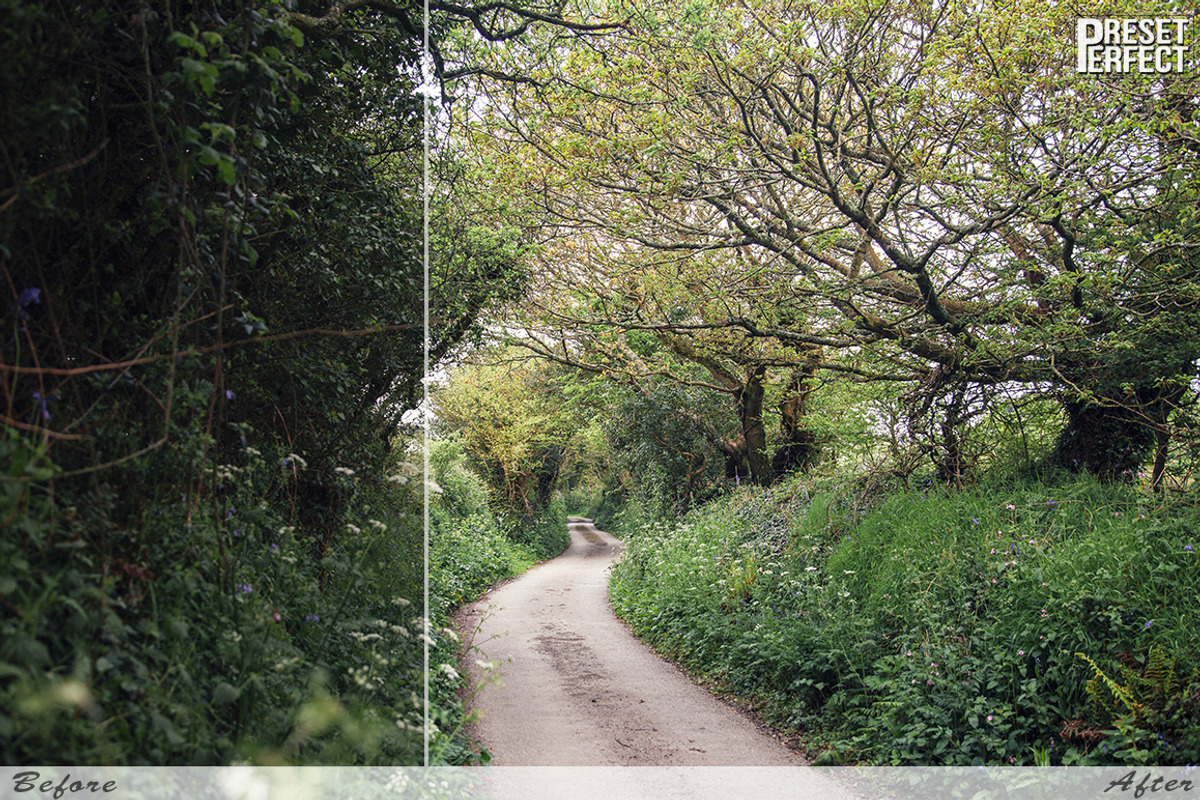 Essentials Lightroom Presets, an Action Add-On by Preset Perfect (Photo 2 of 3)