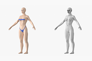 Natural Female 01 A-Pose Base Mesh, a Characters & Person 3D Model by VK Studio (Thumbnail 2 of 26)