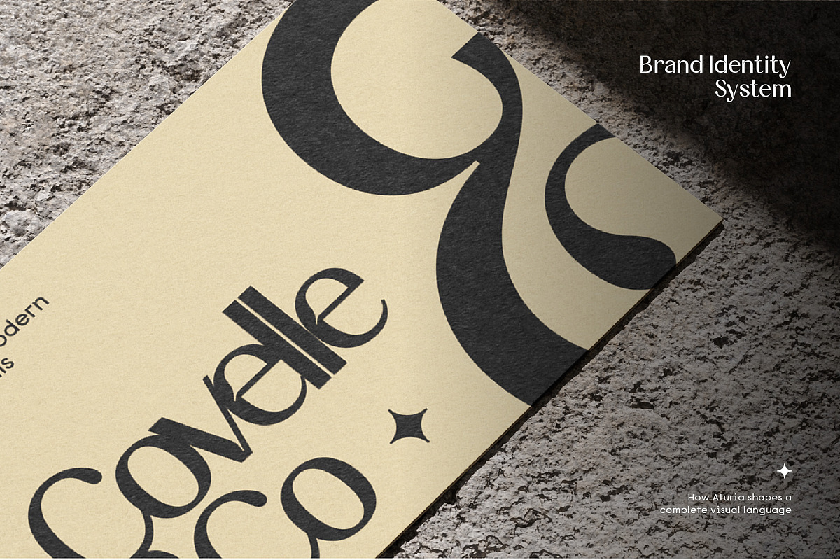 Aturia — High-contrast sans serif, a Sans Serif Font by Nollev (Photo 2 of 12)