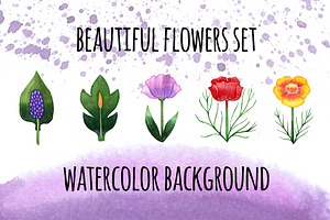 Watercolor flower set