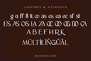 ZADOBESY Sans Serif Font, a Sans Serif Font by Basnistudio (Thumbnail 11 of 12)