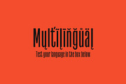 Havanna - Tall Sans in 3 weights, a Sans Serif Font by Pulp Creative Studios (Thumbnail 6 of 7)