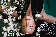 LR&PS-Metallic presets, an Action Add-On by Design Aesthetic (Thumbnail 6 of 7)