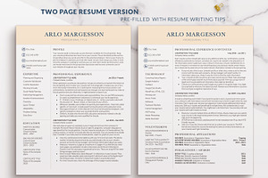 Two Column Resume Template For Word