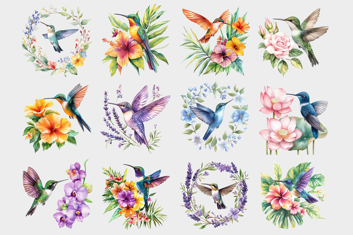 Watercolor Hummingbird Clipart, a Seasonal Illustration by Design Market (Photo 4 of 5)