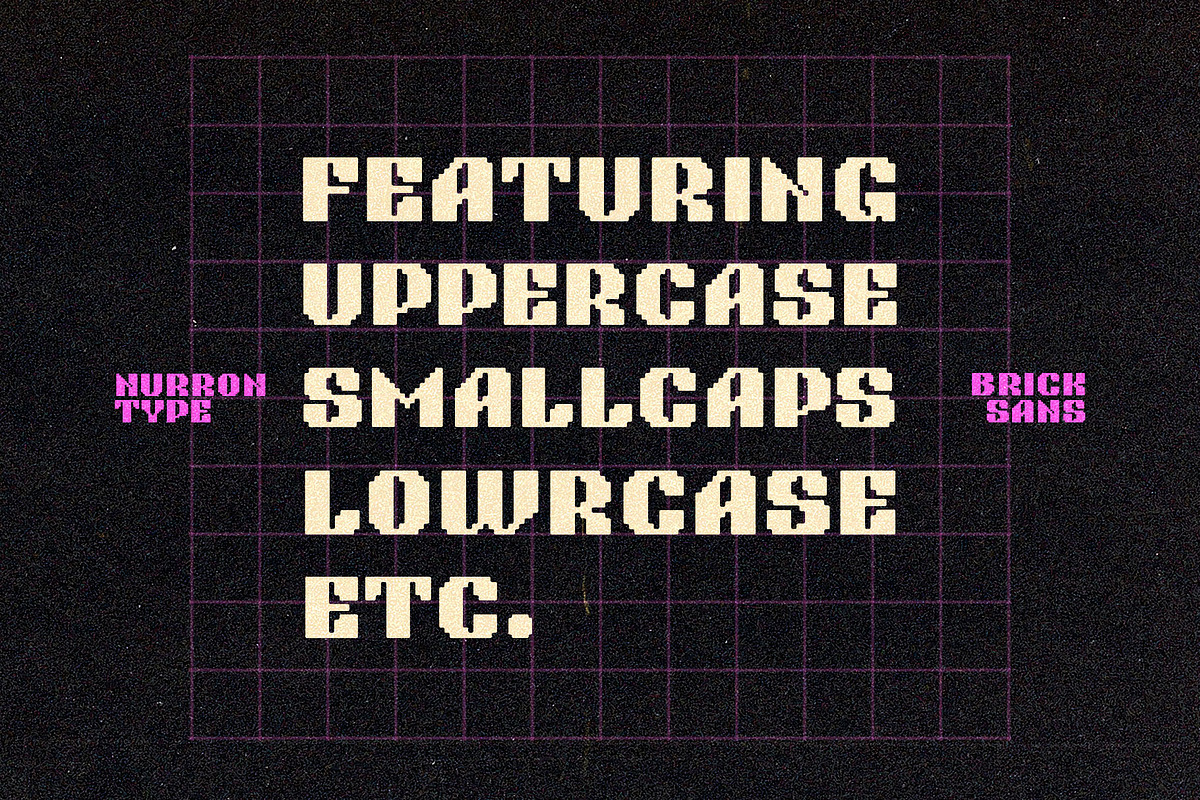 NT Brick Sans, a Font by nurrontype (Photo 3 of 10)