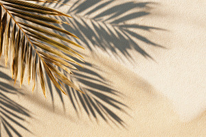 Tropical leaf shadows dance across, a Photo by Pavel_design