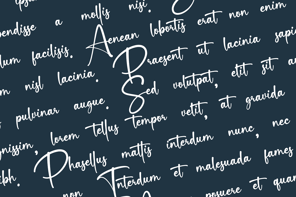 Beastien Signattura, a Handwritten Font by Basnistudio (Photo 4 of 8)