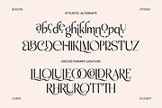 Delorian - Luxury Modern Classy, a Sans Serif Font by tebaltipislab (Thumbnail 4 of 8)