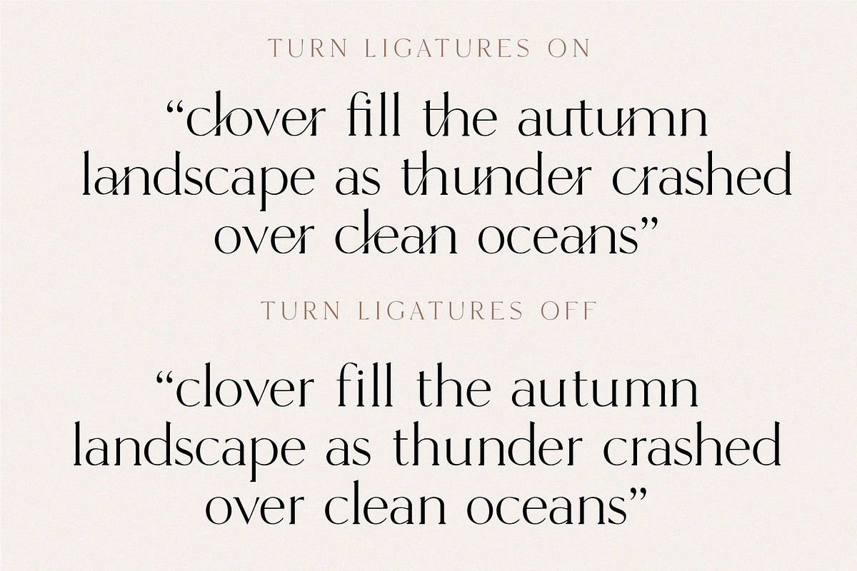 The Chic & Unique Modern Font Bundle, a Sans Serif Font by Tropical Type (Photo 4 of 40)