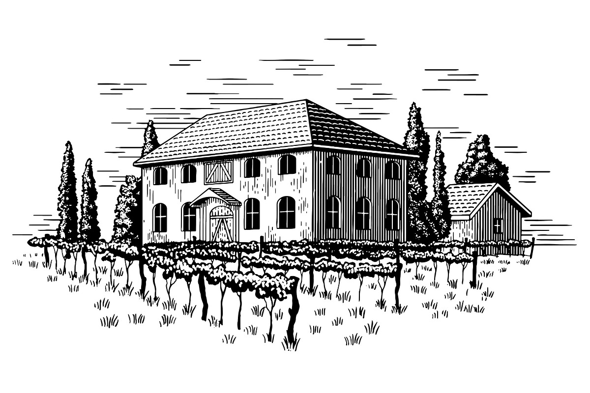 Elegant Vineyard, an Illustration by blue67sign (Photo 1 of 2)