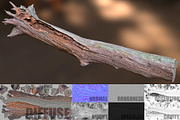 Dead Tree, an Environmental 3D Model by Beatheart Creative Studio (Thumbnail 4 of 15)
