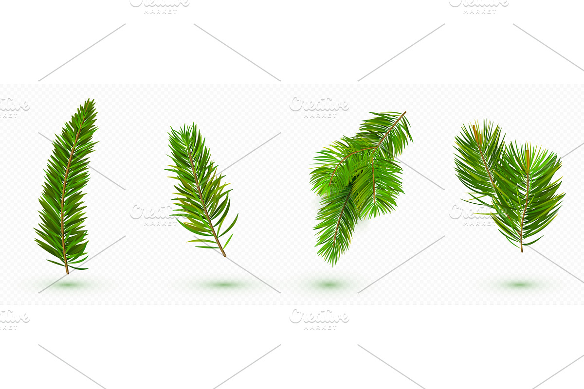Green pine tree branches collection, an Object Illustration by art PVP - market