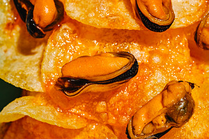 glossy mussels on escabeche-soaked potato chips