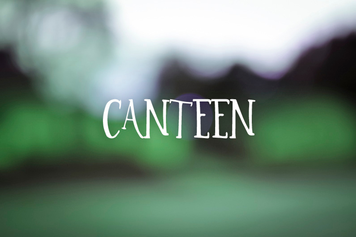 2014 Font Bundle preview 6