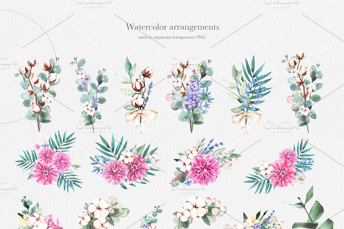 Cotton Botany Watercolor Collection, a Decorative Illustration by Volha Studio (Photo 4 of 9)