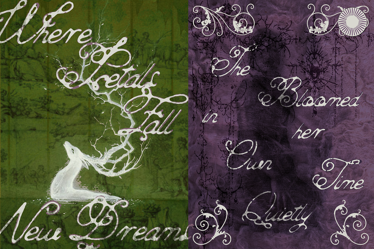 Wild Flower - Gothic Script, a Script Font by Setara Langit CreativeStd (Photo 3 of 15)