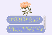 Silkrose - Delicate Display Font, a Sans Serif Font by Artflorara (Thumbnail 11 of 14)