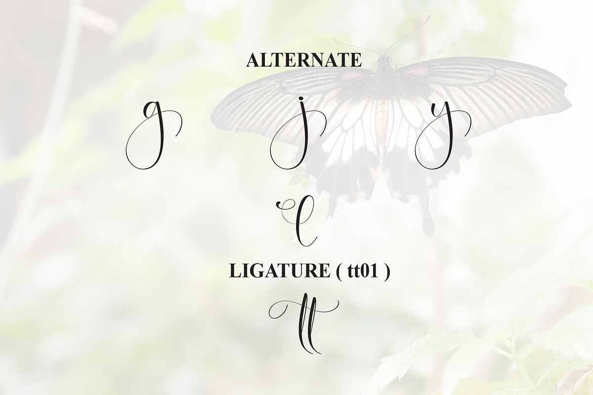 Butterfly | Script Font, a Handwritten Font by Scratchones (Photo 8 of 9)