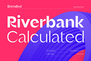 Brendiva Font Family, a Sans Serif Font by Digitype Studio (Thumbnail 3 of 10)