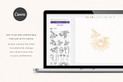 Wild Honey Vector Illustrations, a Decorative Illustration by rouxsupplyco (Thumbnail 13 of 14)