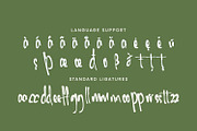 Ambrolite - Expressive handwritten, a Handwritten Font by Cititype (Thumbnail 10 of 15)