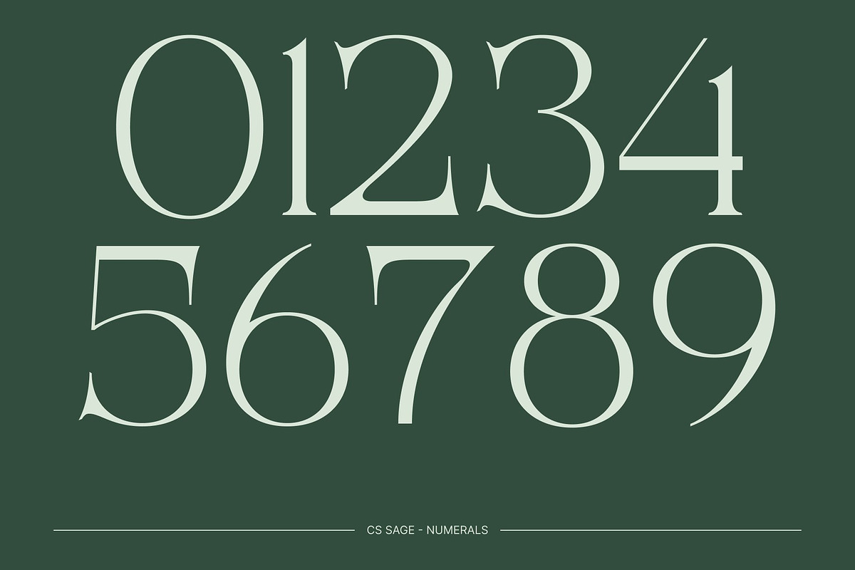 CS Sage – Art Nouveau Font, a Serif Font by Craft Supply Co. (Photo 6 of 8)