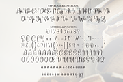 History | Script Font, a Handwritten Font by Scratchones (Thumbnail 7 of 9)