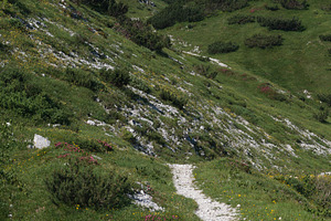 Strait path along the mountains of the Julian Alps in Slovenia, a Nature Photo by Bepslabor