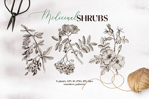 Medicinal plants collection