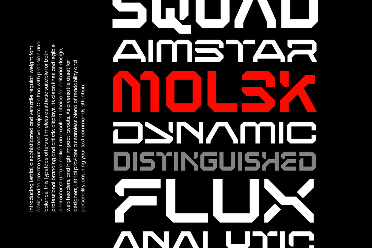 LETRIAL Square Industrial Font, a Sans Serif Font by sentype (Photo 6 of 9)