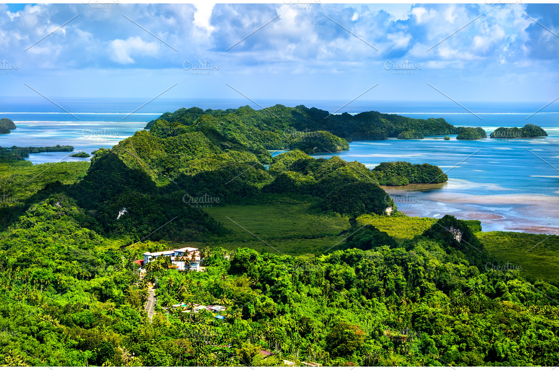 Lush Tropical Landscape of Airai, a Nature Photo by Leonid Andronov