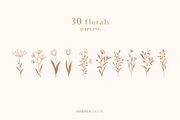 Floral Line Drawings Logo Elements, an Illustration by Kaya Fonts (Thumbnail 5 of 10)