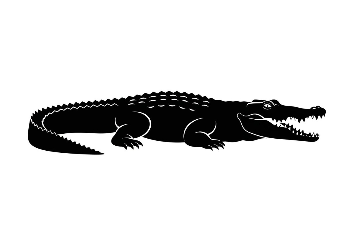 Crocodile Alligator Vector Bundle, an Illustration by jahid234 (Photo 20 of 51)
