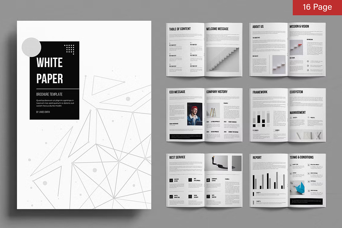 White Paper Bundle, a Brochure Template by ContestDesign (Photo 2 of 30)
