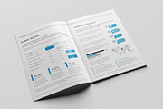 Annual Report 16 Pages, a Brochure Template by Brochure-Market (Thumbnail 8 of 10)