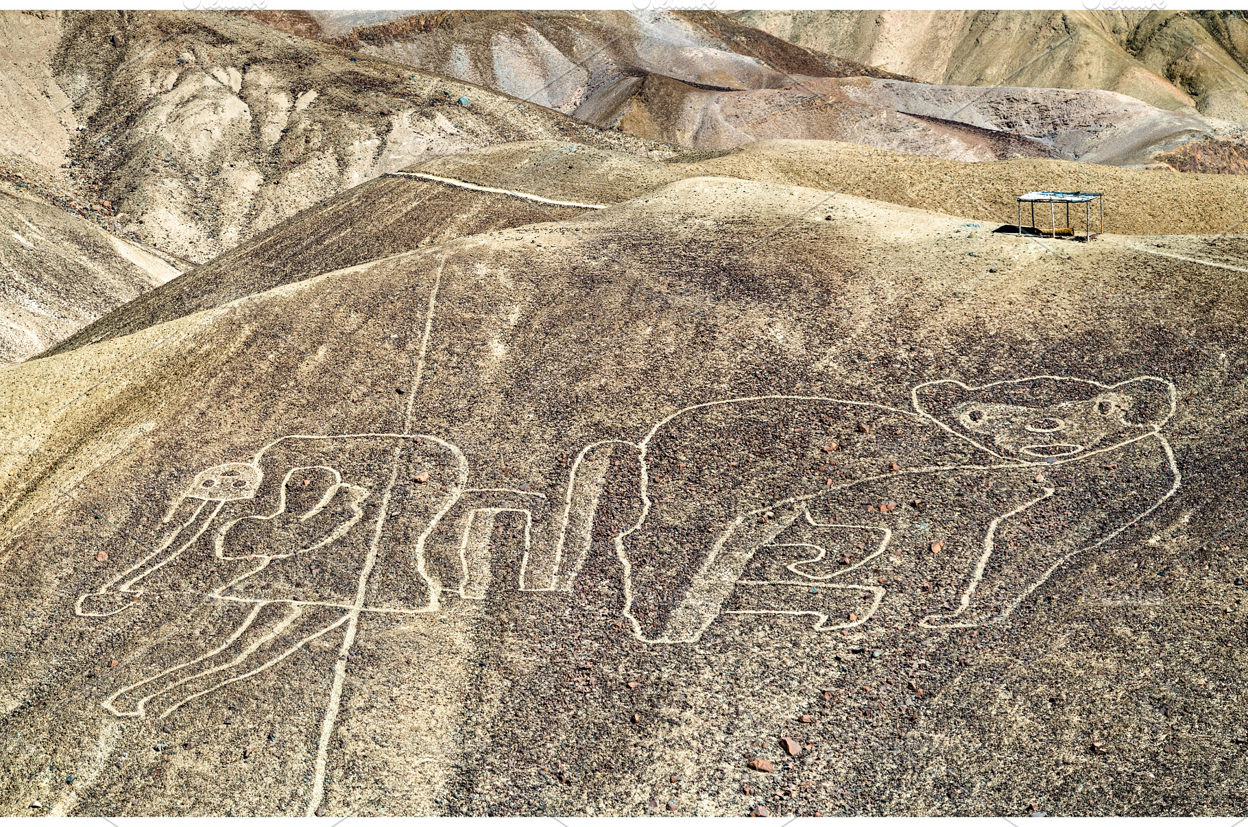 The Monkey Geoglyph at Palpa in Peru, a Nature Photo by Leonid Andronov