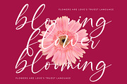 Montise Natasha Stylish Handwritten, a Script Font by stylishtype.co (Thumbnail 7 of 20)
