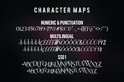 La Fleur - Serif Typeface, a Serif Font by overlaytemplates (Thumbnail 5 of 5)