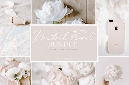 Neutral Floral Styled Stock Photos