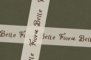 Lily Muse Handwritten Font, a Handwritten Font by The Gelato Type (Thumbnail 17 of 20)
