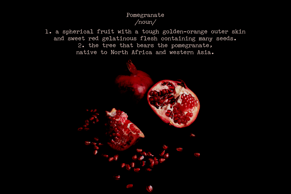 Holocene Typewriter SVG Font, a Serif Font by Ana's Fonts (Photo 4 of 9)