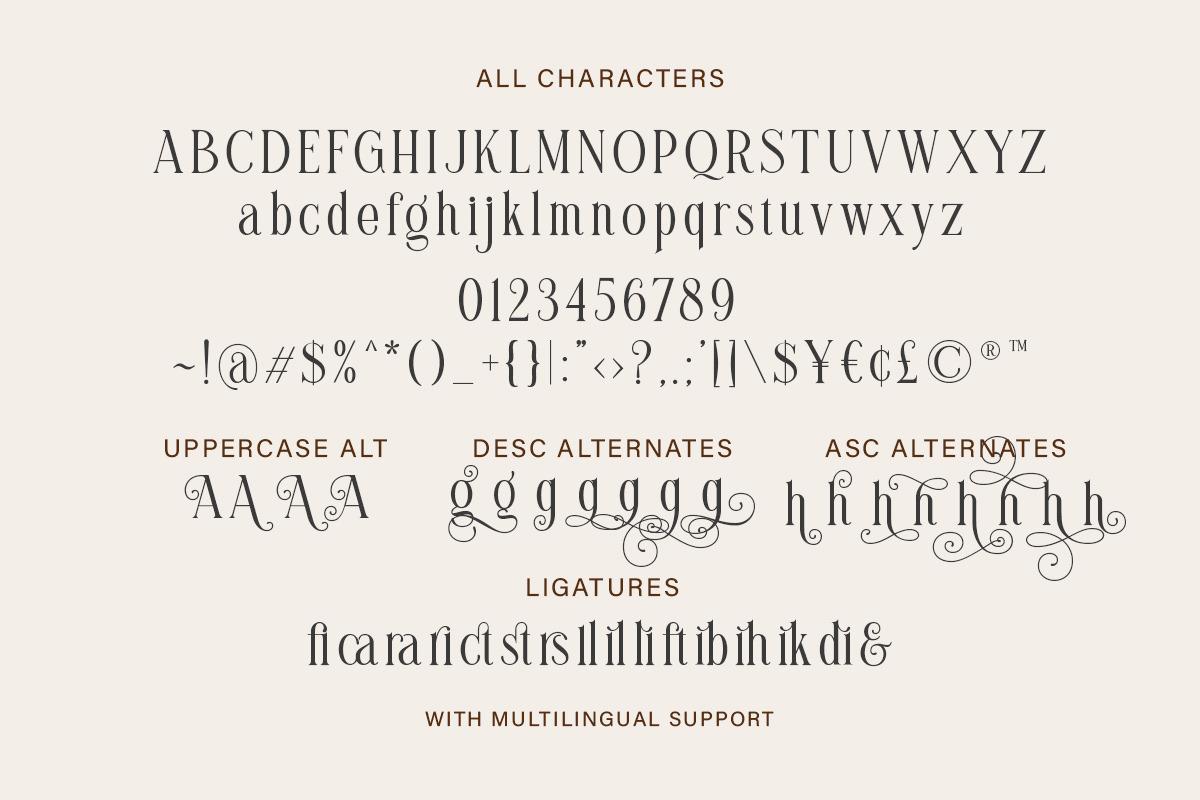 Brilliantly - A Stylish Serif, a Serif Font by Letterhend Studio (Photo 11 of 12)