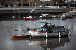 Old boats moored in calm harbor bay, a Transportation Photo by SkyNext